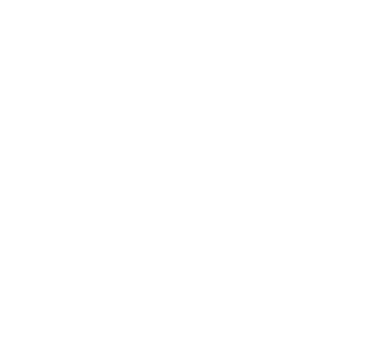 Brand Partners